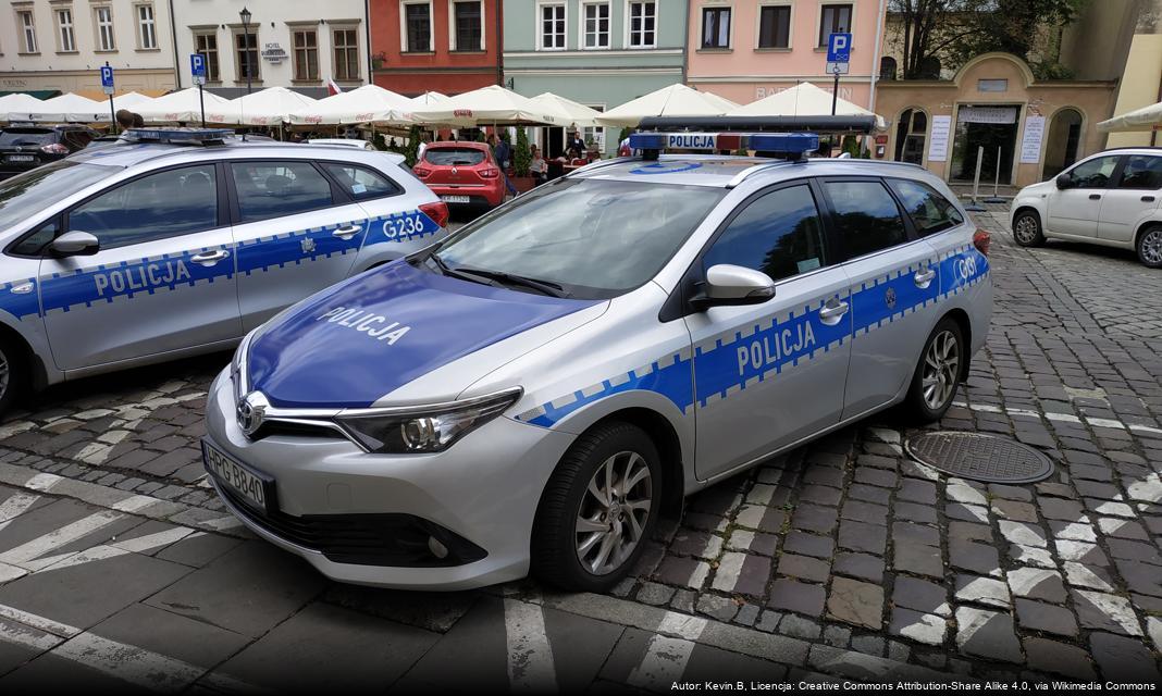 Poszukiwania kandydata na stanowisko starszego inspektora ds. nieletnich i patologii w Goleniowie